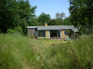 Huis huren gardameer met hond