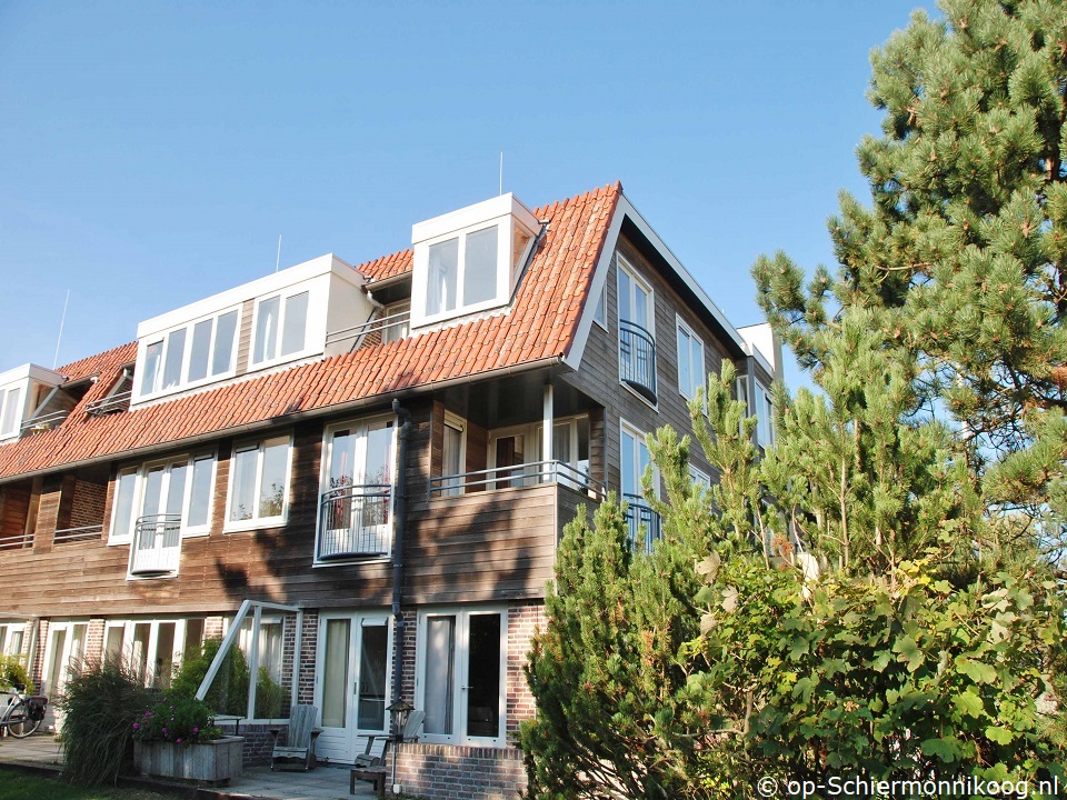 Den (4) in Boszicht, Wadlopen naar Schiermonnikoog