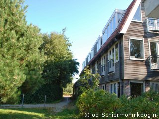 Hazelaar (8) in Boszicht, Nationaal Park Schiermonnikoog