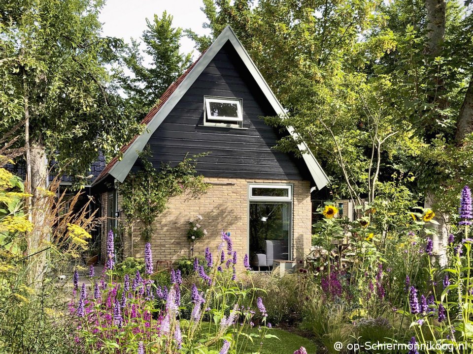 Aanwas, Valentijnsweekend op Schiermonnikoog