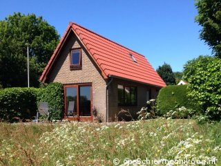 Bertus, Vakantie op Schiermonnikoog met hond