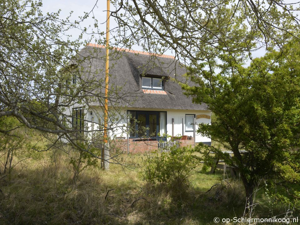 Dubbel Rif, Rookvrije vakantieverblijven op Schiermonnikoog