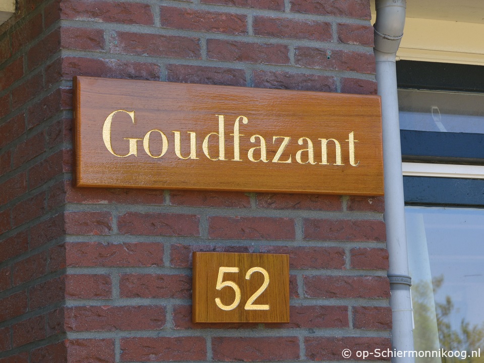 Goudfazant