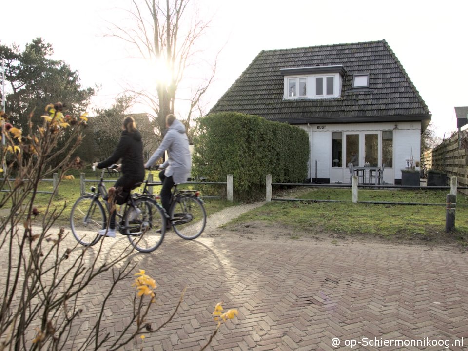 Rust (Badweg), Vakantie op Schiermonnikoog met hond