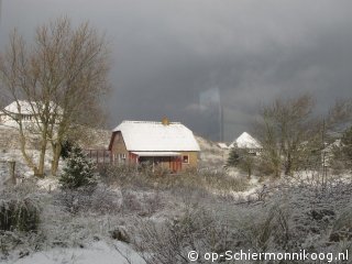 Winterkoning, Vakantieverblijf op Schiermonnikoog voor 4 personen