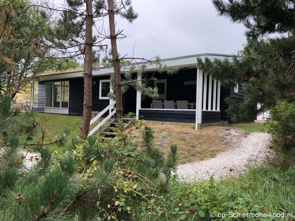 Ynefander, Vakantie op Schiermonnikoog met hond