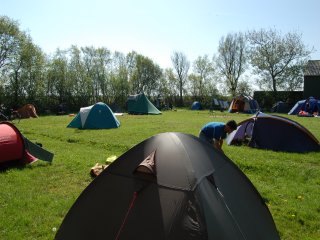 Lastminute Boerencamping Springfield