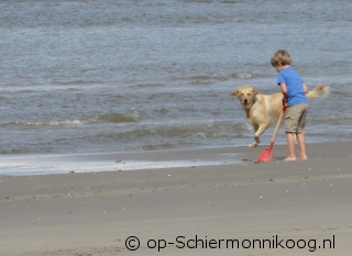 Vakantie op Schiermonnikoog met hond