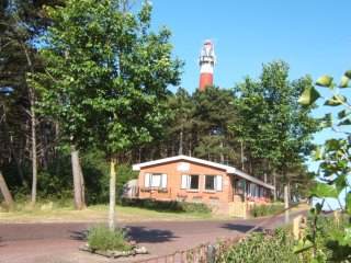 Alk bij de vuurtoren, Werelderfgoed Waddenzee Ameland