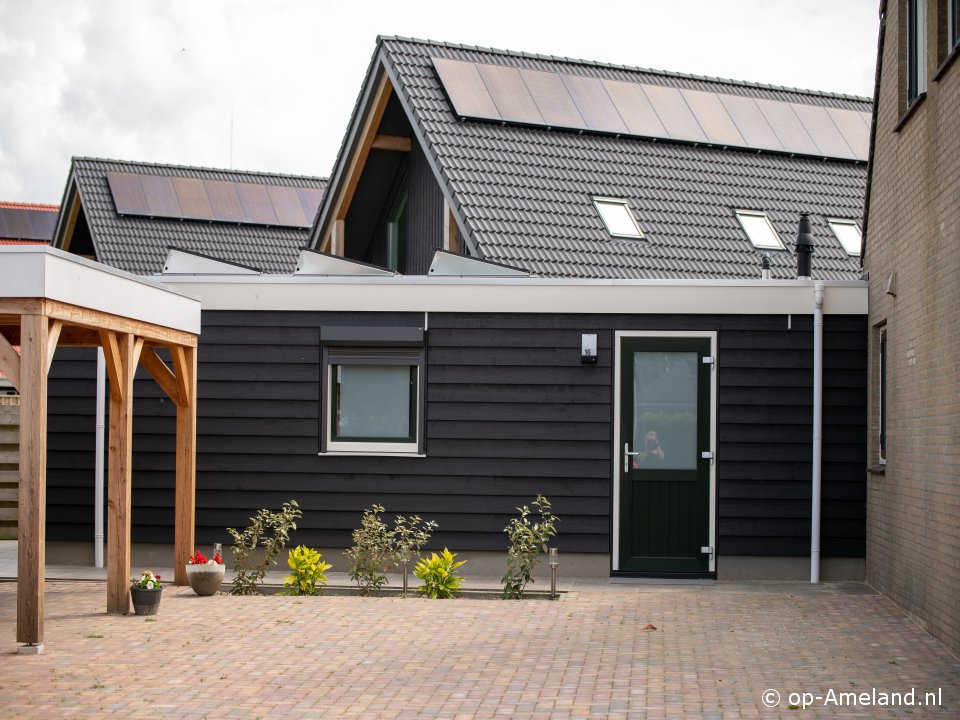 Duinzee (Nes), Werelderfgoed Waddenzee Ameland