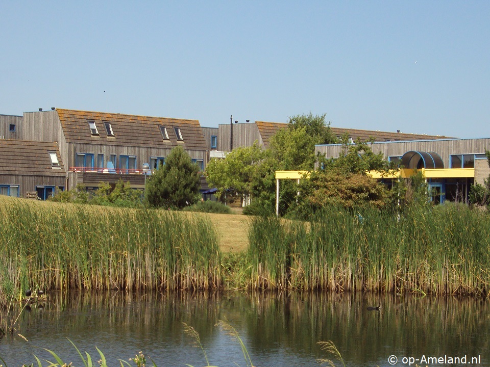 Duynhaas, Werelderfgoed Waddenzee Ameland