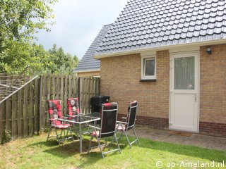Korenbloem, Werelderfgoed Waddenzee Ameland