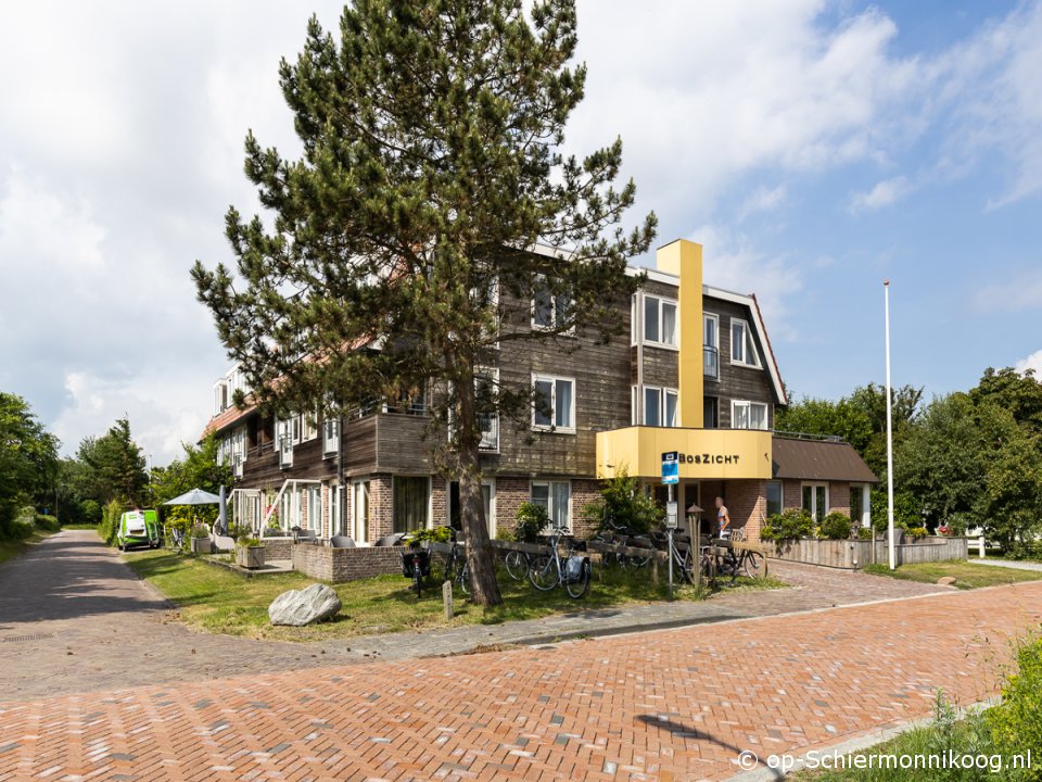 Boszicht 1, Koningsdag op Schiermonnikoog