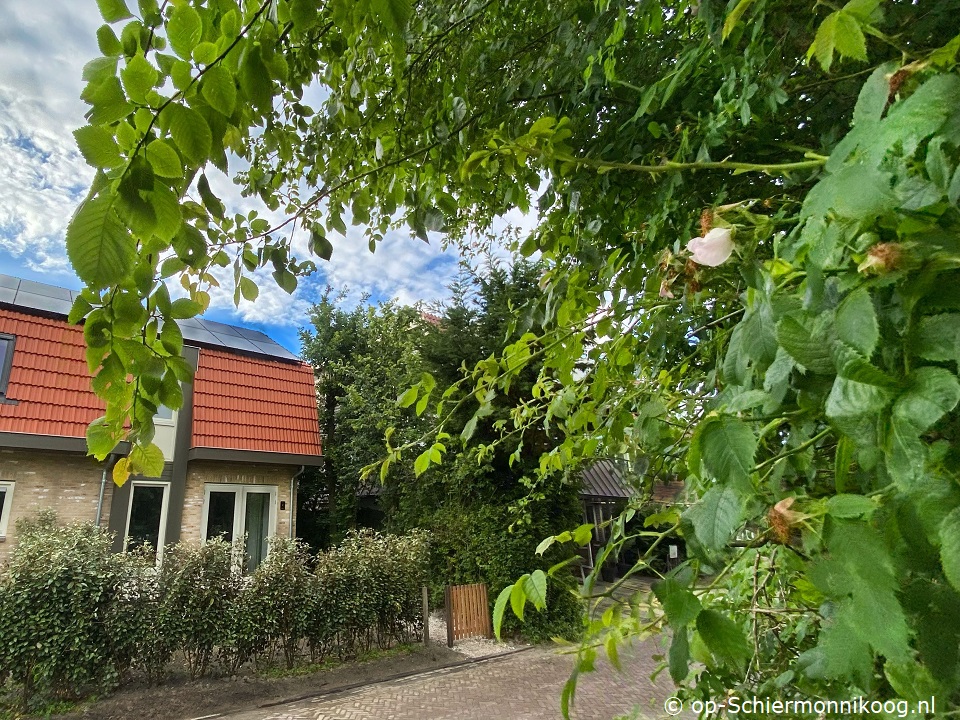 Auriga, Rookvrije vakantieverblijven op Schiermonnikoog