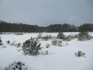 Kerst op Schiermonnikoog