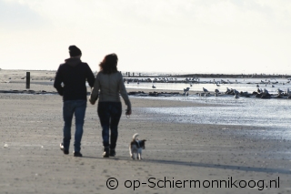 Vakantie op Schiermonnikoog met hond