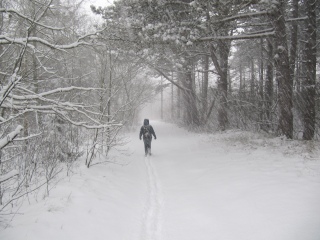 Kerst op Schiermonnikoog