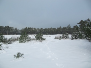 Kerst op Schiermonnikoog